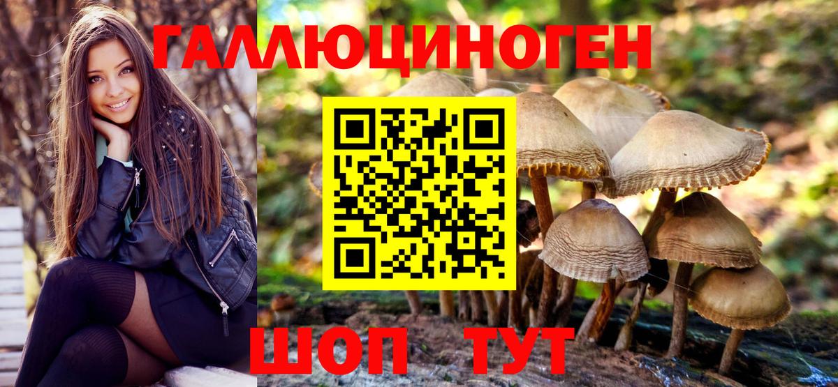 Галлюциногенные грибы Magic Shrooms  Вход с VPN  Кудымкар 